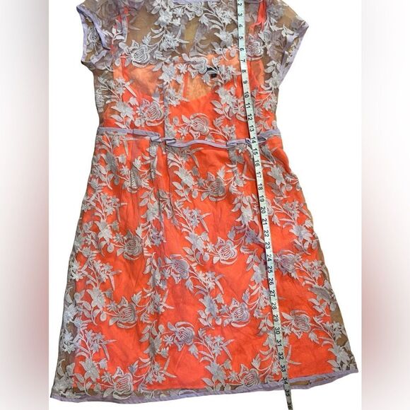 NWT Nanette Lepore Waldorf Girl Sheath Orange Crepe w/Lavender Lace Dress 10 - Picture 12 of 14